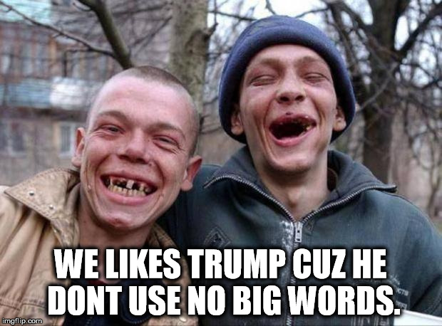 Trump supporters | WE LIKES TRUMP CUZ HE DONT USE NO BIG WORDS. | image tagged in no teeth,trump supporters,trump,inbred | made w/ Imgflip meme maker