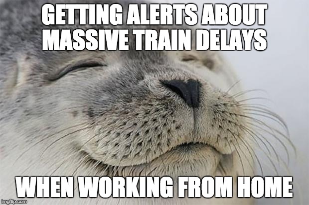 Satisfied Seal | GETTING ALERTS ABOUT MASSIVE TRAIN DELAYS; WHEN WORKING FROM HOME | image tagged in memes,satisfied seal,AdviceAnimals | made w/ Imgflip meme maker