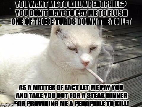 YOU WANT ME TO KILL A PEDOPHILE? YOU DON'T HAVE TO PAY ME TO FLUSH ONE OF THOSE TURDS DOWN THE TOILET; AS A MATTER OF FACT LET ME PAY YOU AND TAKE YOU OUT FOR A STEAK DINNER FOR PROVIDING ME A PEDOPHILE TO KILL! | image tagged in hit man cat | made w/ Imgflip meme maker