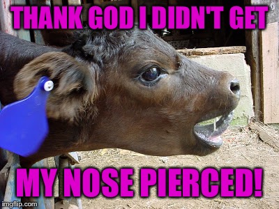 THANK GOD I DIDN'T GET MY NOSE PIERCED! | made w/ Imgflip meme maker