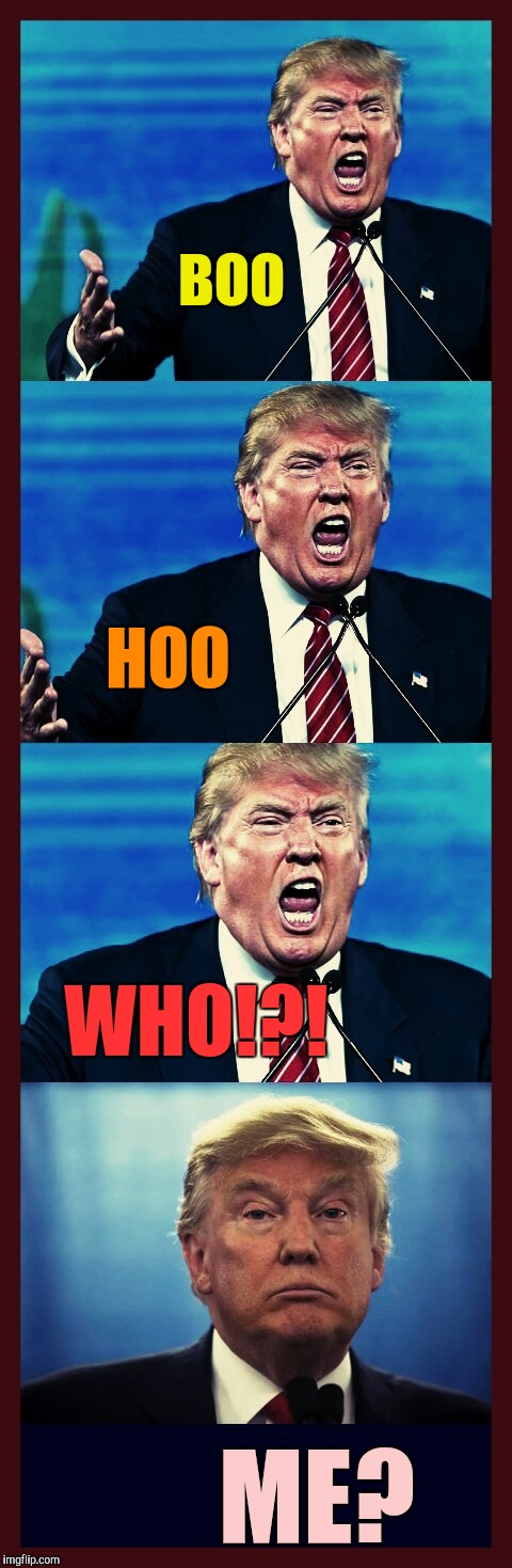 Trump triggered! Triggered! TRIGGERED! Tarded! | BOO ME? HOO WHO!?! | image tagged in trump triggered triggered triggered tarded | made w/ Imgflip meme maker