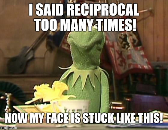 Reciprocal! | I SAID RECIPROCAL TOO MANY TIMES! NOW MY FACE IS STUCK LIKE THIS! | image tagged in annoyed kermit,donald trump | made w/ Imgflip meme maker