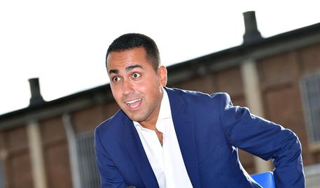 DI MAIO Blank Meme Template