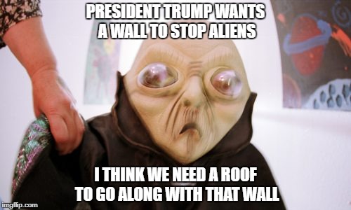 Just another Brick in the Wall | PRESIDENT TRUMP WANTS A WALL TO STOP ALIENS; I THINK WE NEED A ROOF TO GO ALONG WITH THAT WALL | image tagged in ancient aliens,illegal aliens,donald trump approves,funny memes | made w/ Imgflip meme maker