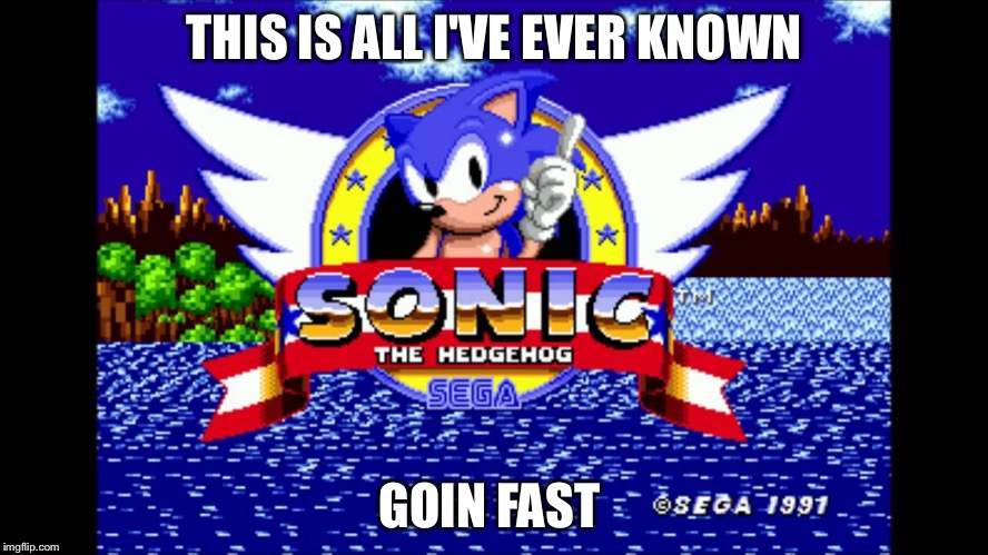 THIS IS ALL I'VE EVER KNOWN GOIN FAST | image tagged in sonic | made w/ Imgflip meme maker