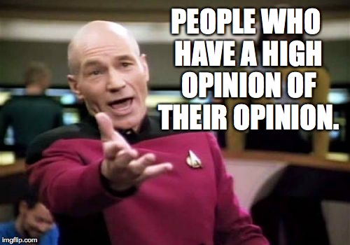 Picard Wtf Meme | PEOPLE WHO HAVE A HIGH OPINION OF THEIR OPINION. | image tagged in memes,picard wtf | made w/ Imgflip meme maker