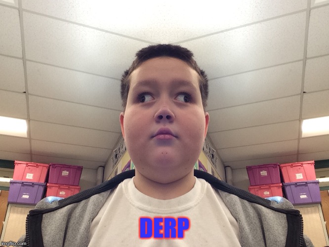 DERP | image tagged in memes | made w/ Imgflip meme maker