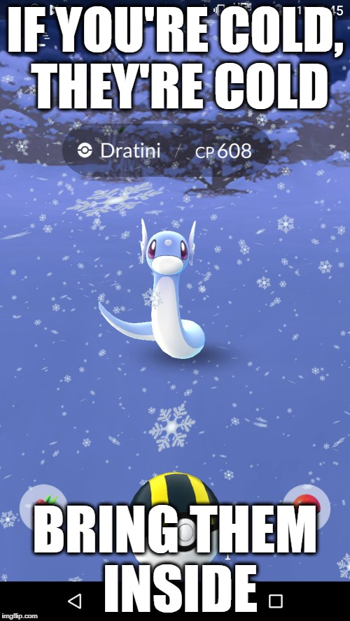 Baby it's cold outside | IF YOU'RE COLD, THEY'RE COLD; BRING THEM INSIDE | image tagged in if you're cold they're cold,pokemon go,snow,pokemon | made w/ Imgflip meme maker