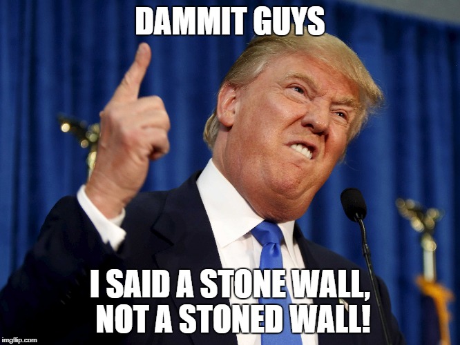 DAMMIT GUYS I SAID A STONE WALL, NOT A STONED WALL! | made w/ Imgflip meme maker