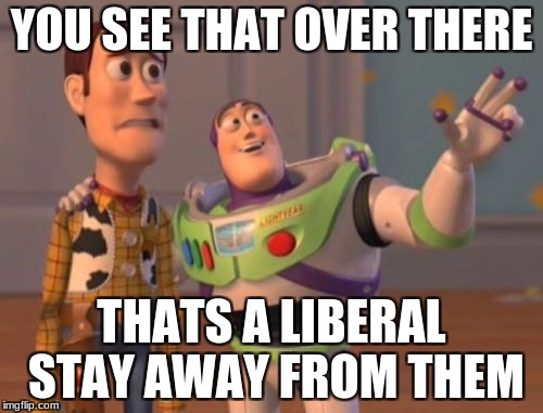 X, X Everywhere | YOU SEE THAT OVER THERE; THATS A LIBERAL STAY AWAY FROM THEM | image tagged in memes,x x everywhere | made w/ Imgflip meme maker