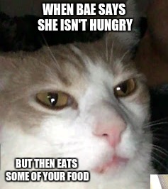 When Bae Says She Isn't Hungry | WHEN BAE SAYS SHE ISN'T HUNGRY; BUT THEN EATS SOME OF YOUR FOOD | image tagged in bae,when she says she isnt hungy,barry the cat | made w/ Imgflip meme maker