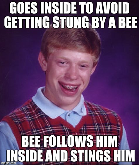 Bad Luck Brian Meme | GOES INSIDE TO AVOID GETTING STUNG BY A BEE; BEE FOLLOWS HIM INSIDE AND STINGS HIM | image tagged in memes,bad luck brian | made w/ Imgflip meme maker