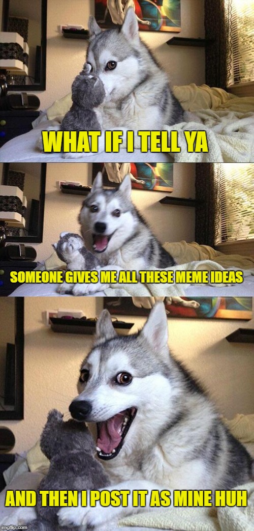 Bad Pun Dog | WHAT IF I TELL YA; SOMEONE GIVES ME ALL THESE MEME IDEAS; AND THEN I POST IT AS MINE HUH | image tagged in memes,bad pun dog | made w/ Imgflip meme maker