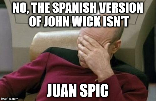 Captain Picard Facepalm | NO, THE SPANISH VERSION OF JOHN WICK ISN'T; JUAN SPIC | image tagged in memes,captain picard facepalm | made w/ Imgflip meme maker