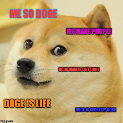 Doge | ME SO DOGE; ME MADE PURPLE; DOGE SMELLS LIKE DOGE; DOGE IS LIFE; DOGE IS SECRETLY DOGE | image tagged in memes,doge | made w/ Imgflip meme maker