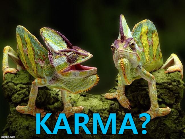 chameleons | KARMA? | image tagged in chameleons | made w/ Imgflip meme maker
