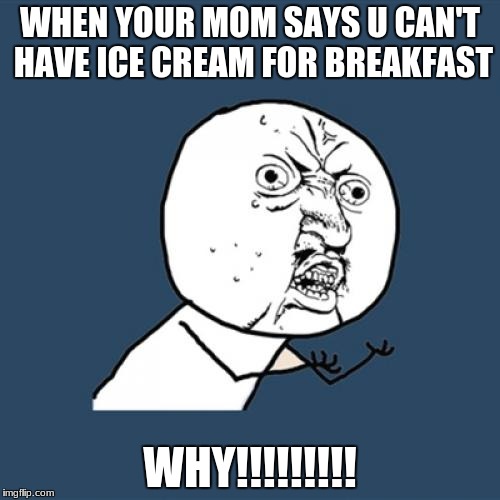 Y U No Meme | WHEN YOUR MOM SAYS U CAN'T HAVE ICE CREAM FOR BREAKFAST; WHY!!!!!!!!! | image tagged in memes,y u no | made w/ Imgflip meme maker