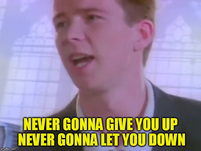 NEVER GONNA GIVE YOU UP 
NEVER GONNA LET YOU DOWN | made w/ Imgflip meme maker