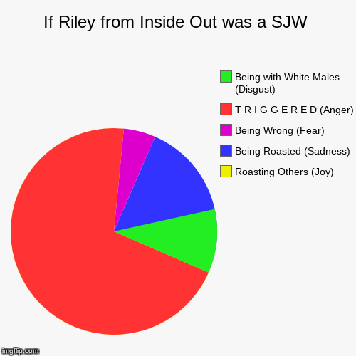 Riley the SJW (Inside Out) | image tagged in funny,pie charts,sjw,disney,pixar,triggered feminist | made w/ Imgflip chart maker