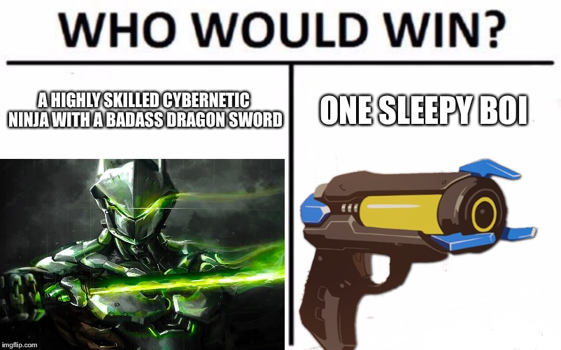 Who would win overwatch  | A HIGHLY SKILLED CYBERNETIC NINJA WITH A BADASS DRAGON SWORD; ONE SLEEPY BOI | image tagged in overwatch memes | made w/ Imgflip meme maker