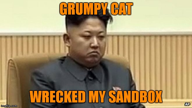 GRUMPY CAT WRECKED MY SANDBOX | made w/ Imgflip meme maker
