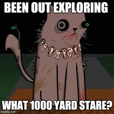 1000 yard stare  | BEEN OUT EXPLORING; WHAT 1000 YARD STARE? | image tagged in elite dangerous | made w/ Imgflip meme maker