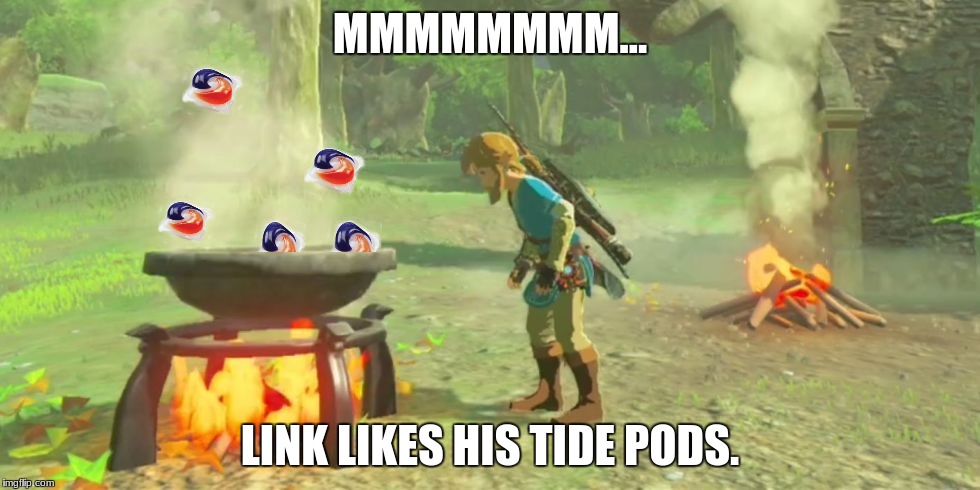 Link Likes Tide Pods | MMMMMMMM... LINK LIKES HIS TIDE PODS. | image tagged in the legend of zelda breath of the wild,cooking,funny,tide pods,the legend of zelda,link | made w/ Imgflip meme maker