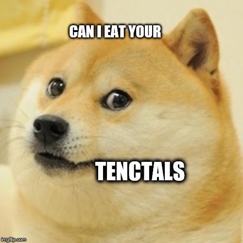 Doge | CAN I EAT YOUR; TENCTALS | image tagged in memes,doge | made w/ Imgflip meme maker