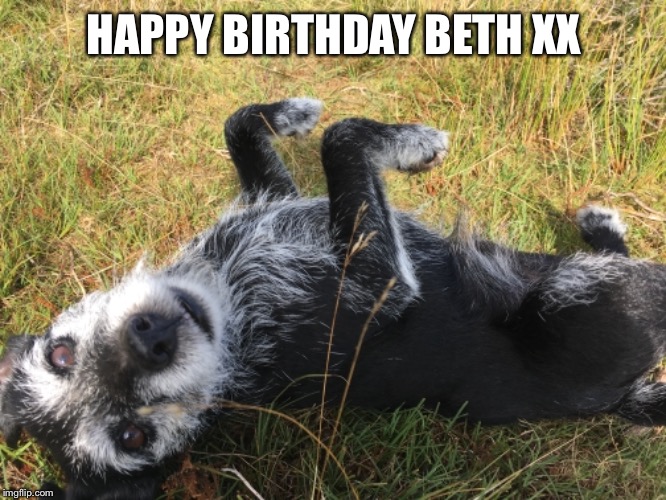 Moo | HAPPY BIRTHDAY BETH XX | image tagged in dogs | made w/ Imgflip meme maker