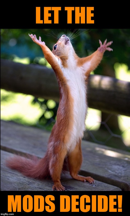 praying squirrel 2 | LET THE; MODS DECIDE! | image tagged in praying squirrel 2 | made w/ Imgflip meme maker