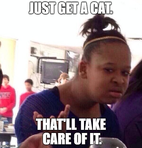 Black Girl Wat Meme | JUST GET A CAT. THAT'LL TAKE CARE OF IT. | image tagged in memes,black girl wat | made w/ Imgflip meme maker