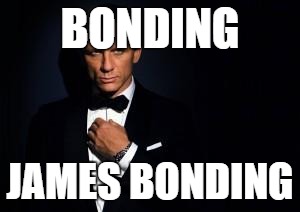james bond | BONDING; JAMES BONDING | image tagged in james bond | made w/ Imgflip meme maker