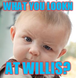 Skeptical Baby Meme | WHAT YOU LOOKN; AT WILLIS? | image tagged in memes,skeptical baby | made w/ Imgflip meme maker