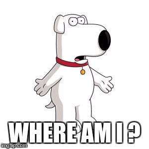 Family Guy Brian | WHERE AM I ? | image tagged in memes,family guy brian | made w/ Imgflip meme maker