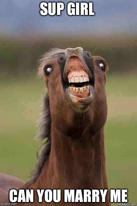 horse face | SUP GIRL; CAN YOU MARRY ME | image tagged in horse face | made w/ Imgflip meme maker