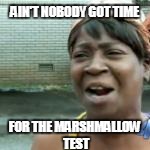 AIN'T NOBODY GOT TIME FOR THE MARSHMALLOW TEST | made w/ Imgflip meme maker