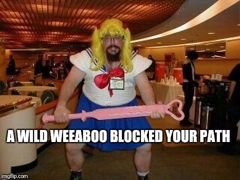 A WILD WEEABOO BLOCKED YOUR PATH | image tagged in weeaboo | made w/ Imgflip meme maker
