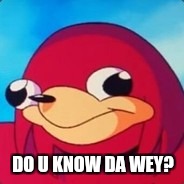 DO U KNOW DA WEY? | image tagged in knuckles | made w/ Imgflip meme maker
