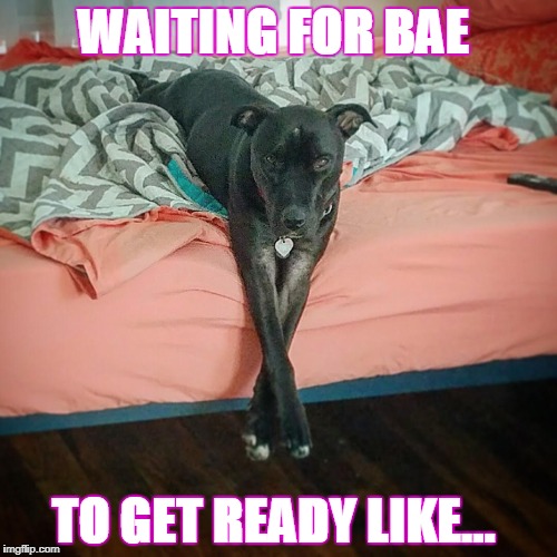 Raider Bear | WAITING FOR BAE; TO GET READY LIKE... | image tagged in bae,waiting on bae to call | made w/ Imgflip meme maker