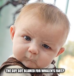 Skeptical Baby Meme | THE GUY GOT BLAMED FOR WHALEN'S FART? | image tagged in memes,skeptical baby | made w/ Imgflip meme maker