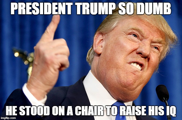 President Trump So Dumb | PRESIDENT TRUMP SO DUMB; HE STOOD ON A CHAIR TO RAISE HIS IQ | image tagged in donald trump,president,yo momma,dumb | made w/ Imgflip meme maker
