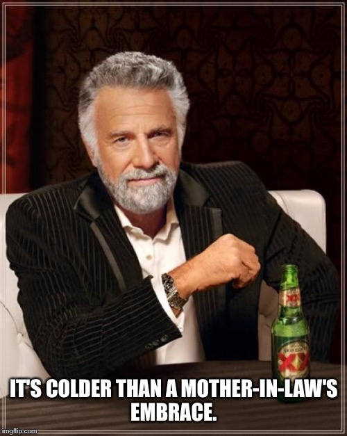 The Most Interesting Man In The World Meme | IT'S COLDER THAN A MOTHER-IN-LAW'S EMBRACE. | image tagged in memes,the most interesting man in the world | made w/ Imgflip meme maker