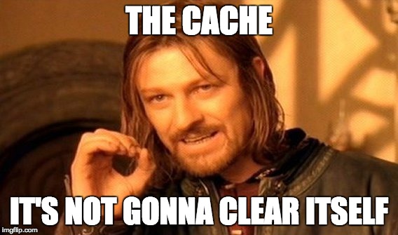 One Does Not Simply | THE CACHE; IT'S NOT GONNA CLEAR ITSELF | image tagged in memes,one does not simply | made w/ Imgflip meme maker
