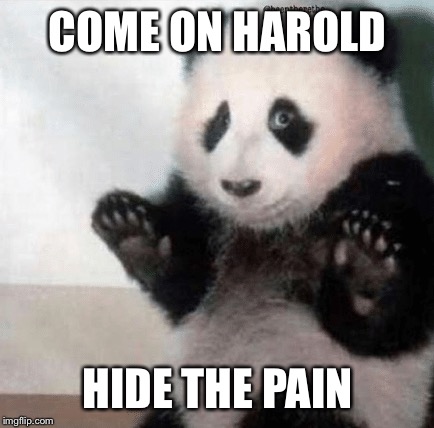 COME ON HAROLD HIDE THE PAIN | made w/ Imgflip meme maker