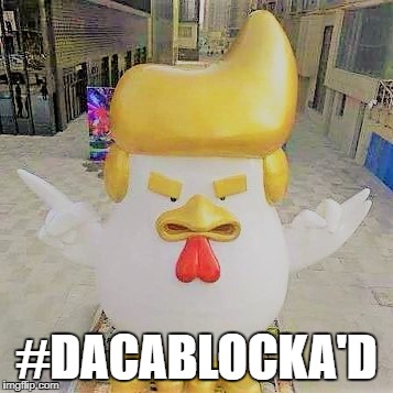 #DACABLOCKA'd | #DACABLOCKA'D | image tagged in stephen colbert,donald trump,daca,funny | made w/ Imgflip meme maker