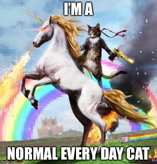 Welcome To The Internets Meme | I’M A; NORMAL EVERY DAY CAT | image tagged in memes,welcome to the internets | made w/ Imgflip meme maker