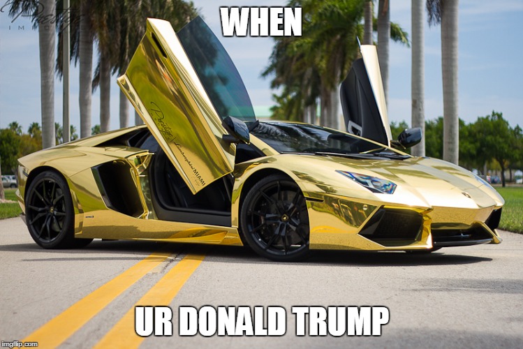 WHEN; UR DONALD TRUMP | image tagged in donald trump | made w/ Imgflip meme maker