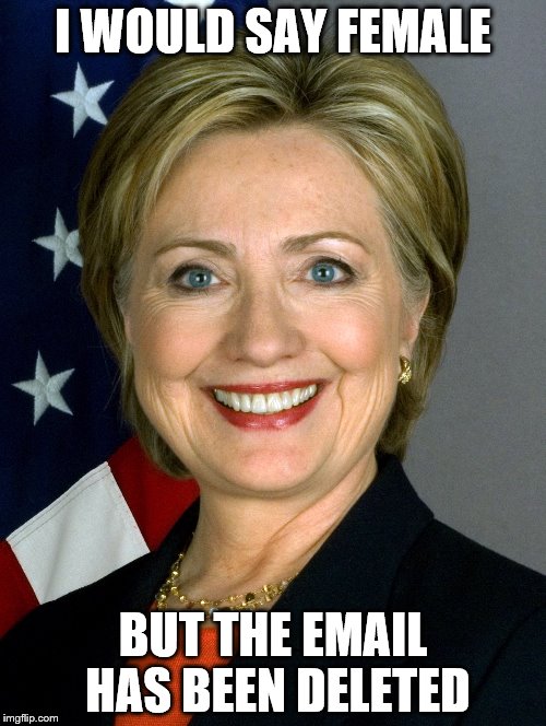 I WOULD SAY FEMALE; BUT THE EMAIL HAS BEEN DELETED | made w/ Imgflip meme maker