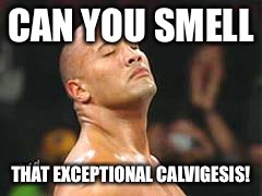 The Rock Smelling | CAN YOU SMELL; THAT EXCEPTIONAL CALVIGESIS! | image tagged in the rock smelling | made w/ Imgflip meme maker