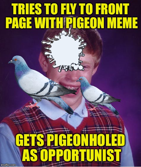 Aw Sh!t | TRIES TO FLY TO FRONT PAGE WITH PIGEON MEME; GETS PIGEONHOLED AS OPPORTUNIST | image tagged in memes,bad luck brian,pigeons,front page,imgflip humor | made w/ Imgflip meme maker